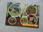 Hoenderloo, Miggelenberg, bos/dieren, Verzamelen, Ansichtkaarten | Nederland, Verzenden, Gelopen, Gelderland