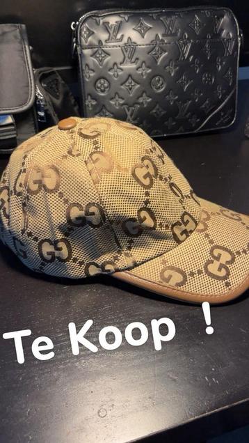 Gucci Pet - Nieuwstaat beschikbaar voor biedingen