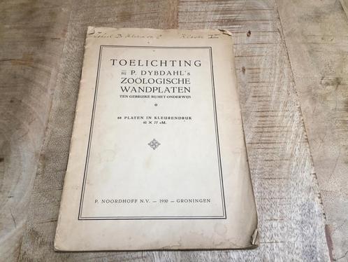 Antieke Schoolplaat - Zoologische Wandplaten, Antiek en Kunst, Antiek | Schoolplaten, Natuur en Biologie, Ophalen of Verzenden