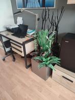 Kunstplant, Huis en Inrichting, Kamerplanten, Ophalen of Verzenden, Overige soorten, Minder dan 100 cm
