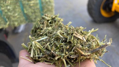 Nieuwe oogst Rumiplus - nu scherp geprijsd leverbaar!, Dieren en Toebehoren, Stalling en Weidegang