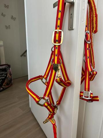 Spaans halster Full beschikbaar voor biedingen