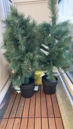 Kunstkerstboompjes en krans, Ophalen, Zo goed als nieuw