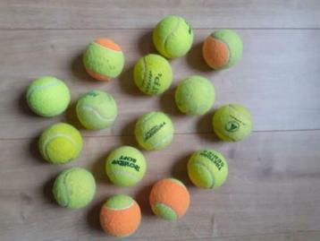 15 tennisballen voor de hond beschikbaar voor biedingen
