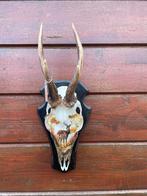 Gedecoreerde reebok schedel/ gewei, Ophalen of Verzenden, Zo goed als nieuw