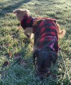 Dikke fleece body warmer maat L, Dieren en Toebehoren, Hondenkleding, Ophalen of Verzenden, Zo goed als nieuw, Hondenbodywarmer