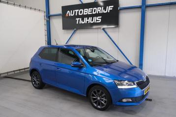 Skoda Fabia 1.0 TSI Business Edition - N.A.P. Airco, Cruise, beschikbaar voor biedingen