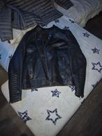 Philipp plein leren biker jacket, Kleding | Heren, Jassen | Winter, Ophalen, Zo goed als nieuw, Maat 56/58 (XL), Zwart