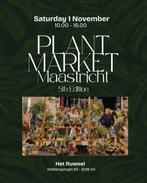 Plantmarket Maastricht, Huis en Inrichting, Ophalen, Halfschaduw, Minder dan 100 cm