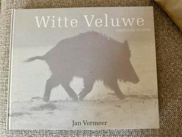 Jan Vermeer - Witte Veluwe beschikbaar voor biedingen