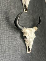 Stoere Skull - 40 cm hoog, Ophalen, Zo goed als nieuw