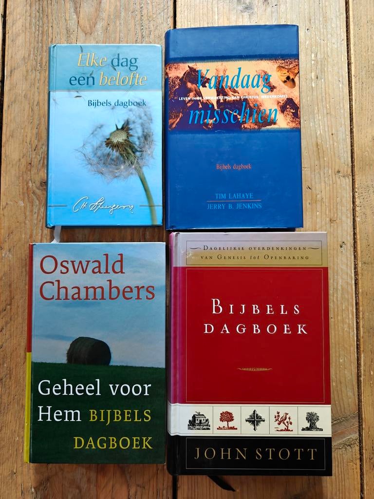 4 Bijbelse dagboeken., Ophalen of Verzenden, Zo goed als nieuw