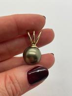 B66 Prachtige zilveren hanger goudkleur parel, Overige voorstellingen, Ophalen of Verzenden, X, Goud