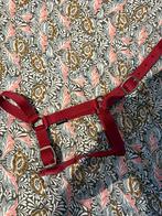 Halster cob, Kleding | Dames, Riemen en Ceinturen, Ophalen of Verzenden, Nieuw, Zwart