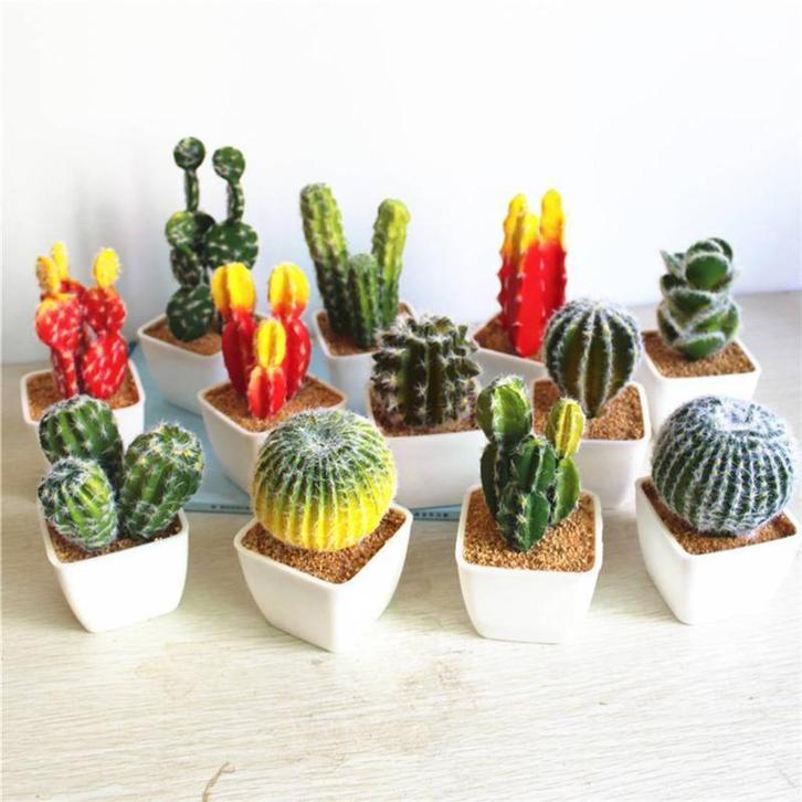 Kunst Cactus / Nep Plant Namaak Decor Woestijn Tropisch, Huis en Inrichting, Woonaccessoires | Kunstplanten en Kunstbloemen, Nieuw