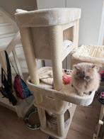 Petrebels nieuwe krabpaal te koop, Dieren en Toebehoren, Ophalen of Verzenden, Nieuw, Krabpaal