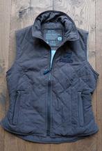 Euro-Star bodywarmer voor paardrijden, maat S., Gebruikt, Ophalen of Verzenden, Dames, Recreatie