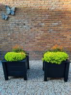 Bloembakken, Tuin en Terras, Ophalen, Zo goed als nieuw, Rechthoekig, Hout