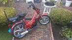 Tomos luxe 2011 E-start, Fietsen en Brommers, Brommers | Tomos, Overige modellen, Nieuw, Ophalen of Verzenden, 2 versnellingen
