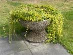 Grote betonnen Bloempot/ terraspot, Ophalen, Zo goed als nieuw, Rond, Minder dan 60 cm
