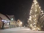 Najaar / Kerstmis vakantiehuis te huur Max Schmeling im Harz, 4 of meer slaapkamers, Dorp, Harz, Afwasmachine