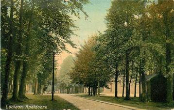 (380-112-009) Apeldoorn Loolaan beschikbaar voor biedingen