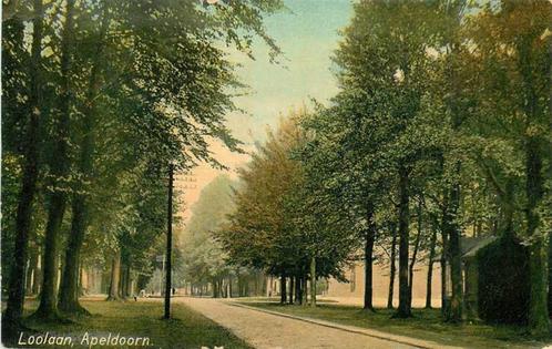 (380-112-009) Apeldoorn Loolaan, Verzamelen, Ansichtkaarten | Nederland, Gelderland, Verzenden