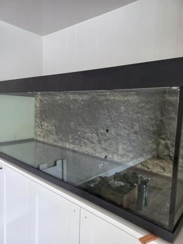 professioneel aquarium 180cm + 2x JBL e1902 + toebehoren beschikbaar voor biedingen