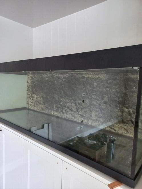 professioneel aquarium 180cm + 2x JBL e1902 + toebehoren, Dieren en Toebehoren, Vissen | Aquaria en Toebehoren, Zo goed als nieuw