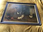 Mooie oude prenten kip / haan, Antiek en Kunst, Kunst | Schilderijen | Klassiek, Ophalen