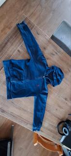 Ralph Lauren donkerblauw vest XXS / 164, Ophalen of Verzenden, Gebruikt, Jongen of Meisje, Trui of Vest