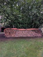 Berken & Gemengd Haardhout - deze zomer gekapt, Tuin en Terras, Haardhout, 6 m³ of meer, Ophalen, Berkenhout, Blokken