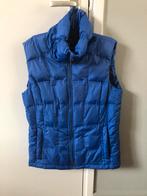 Blauwe gewatteerde bodywarmer Human Nature - Maat M, Kleding | Dames, Bodywarmers, Maat 38/40 (M), Blauw, Ophalen of Verzenden