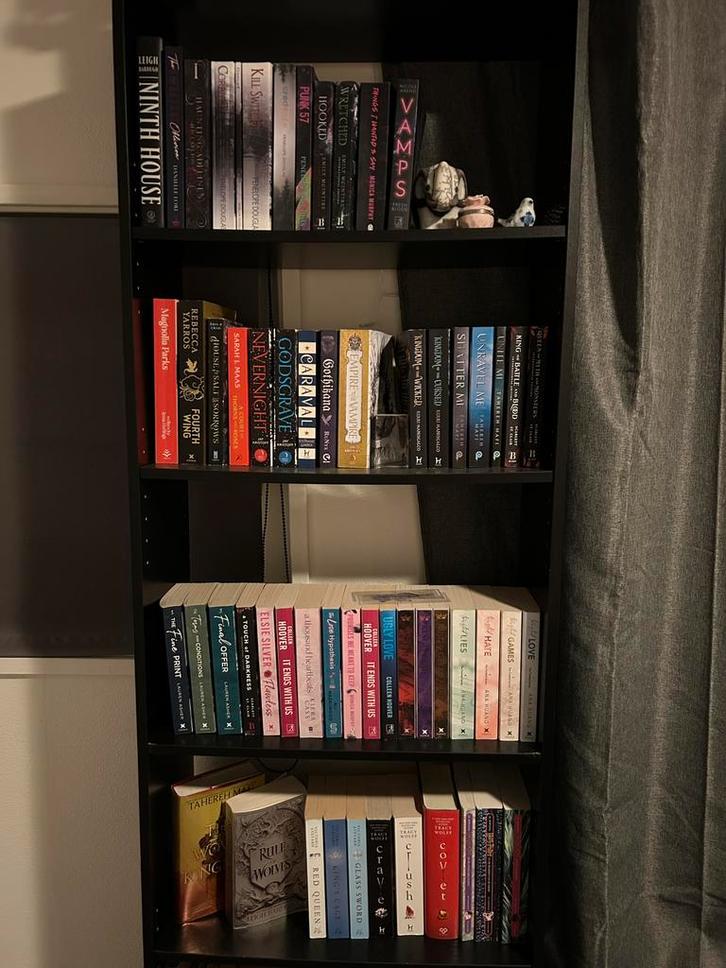 Bekende booktok boeken te koop!, Boeken, Taal | Engels, Zo goed als nieuw, Fictie, Ophalen of Verzenden