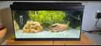 Aquarium Aquatlantis 55L ingericht en ingedraaid., Ophalen, Zo goed als nieuw, Gevuld zoetwateraquarium