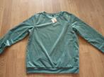 Velours sweater, Kleding | Dames, Truien en Vesten, Ophalen of Verzenden, Nieuw, Maat 38/40 (M), Groen