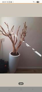 Ghostwoodtakken Eric kuster style, Huis en Inrichting, Ophalen of Verzenden, Zo goed als nieuw