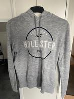 Hollister grijze hoody maat s, Maat 46 (S) of kleiner, Grijs, Ophalen of Verzenden, Zo goed als nieuw