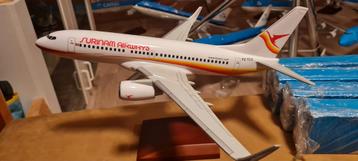 Surinam Airways Boeing 737 Modelvliegtuig Schaal 1.100 beschikbaar voor biedingen