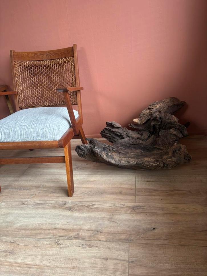 Zeer groot stuk kiemhout voor terrarium of aquarium, Dieren en Toebehoren, Vissen | Aquaria en Toebehoren, Gebruikt, Plant(en), Steen of Hout