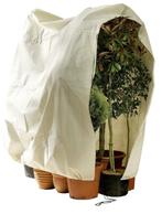 Plantenhoes - 200 x 240 cm voor planten tot diameter 160 cm, Verzenden, Bloeit niet, Overige soorten, Volle zon