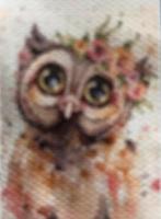 DP Uil 3.0 V.S. Size:15x20cm 25 Kleuren, Ophalen of Verzenden, Nieuw
