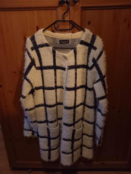 Royaal vest XXL harig offwhite met blauwe ruit zgan, Kleding | Dames, Truien en Vesten, Zo goed als nieuw, Maat 42/44 (L), Overige kleuren