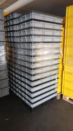Nette Gebruikte Bakken met deksel 80x60x13cm hoog Grijs, Ophalen, Gebruikt