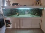 Complete Aquarium 200x60x60cm, Ophalen, Gevuld zoetwateraquarium