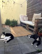 Gratis ophalen: tuinbankje, Tuin en Terras, Ophalen, Gebruikt, Hout