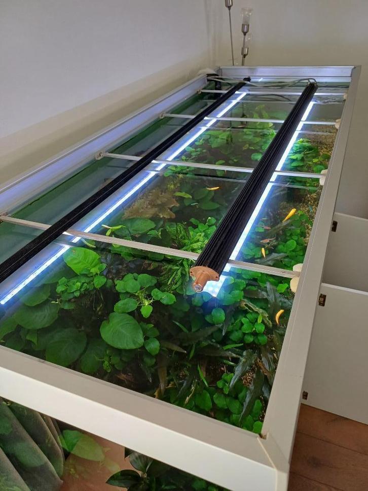 Aquarium led verlichting set met controller 160 cm aquarium, Dieren en Toebehoren, Vissen | Aquaria en Toebehoren, Zo goed als nieuw