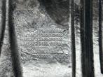 KTM SXS Factory carbon skidplate 250 / 350 SXF 19-2022, Nieuw, Ophalen of Verzenden, Info@ktm.com, Mattighofen
