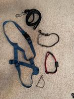 2 halsbanden, 1 tuigje, 1 riem, 1 hondenfluitje, 1 rollijn, Dieren en Toebehoren, Ophalen of Verzenden, Gebruikt