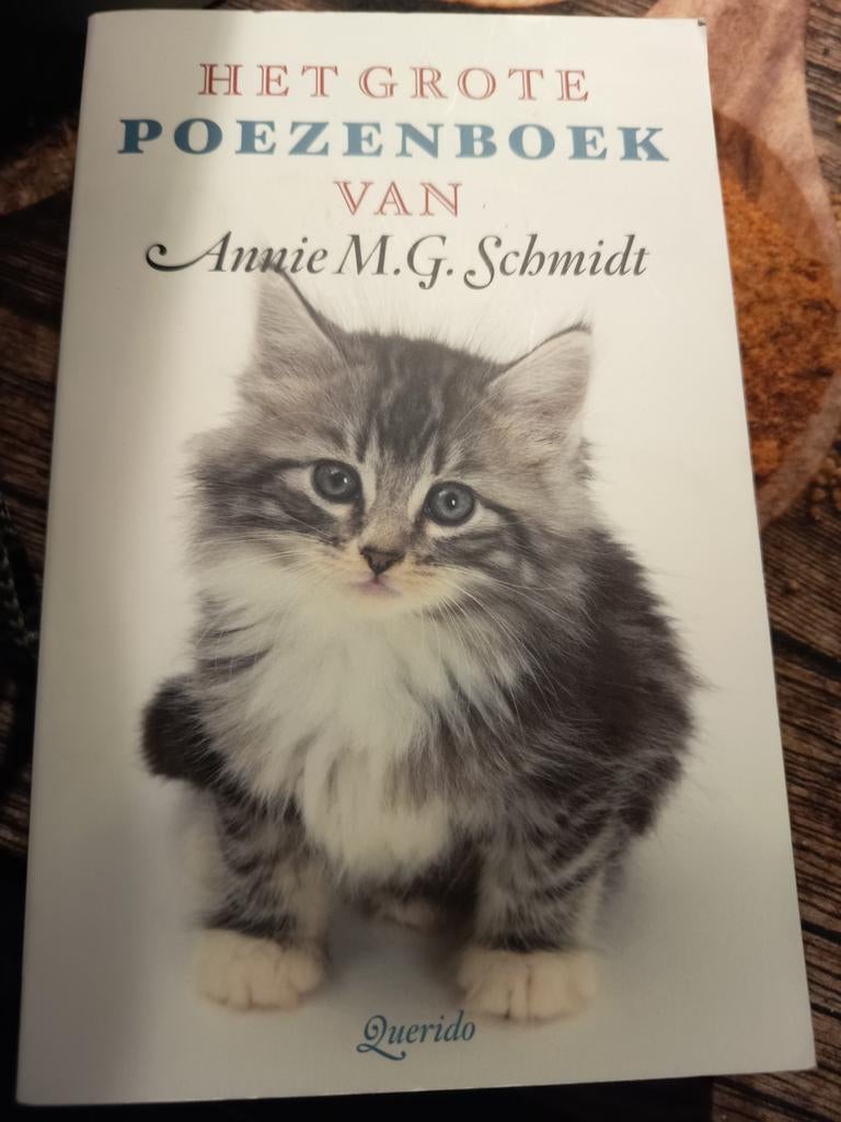 Annie M.G. Schmidt - Het grote poezenboek, Boeken, Literatuur, Zo goed als nieuw, Ophalen of Verzenden